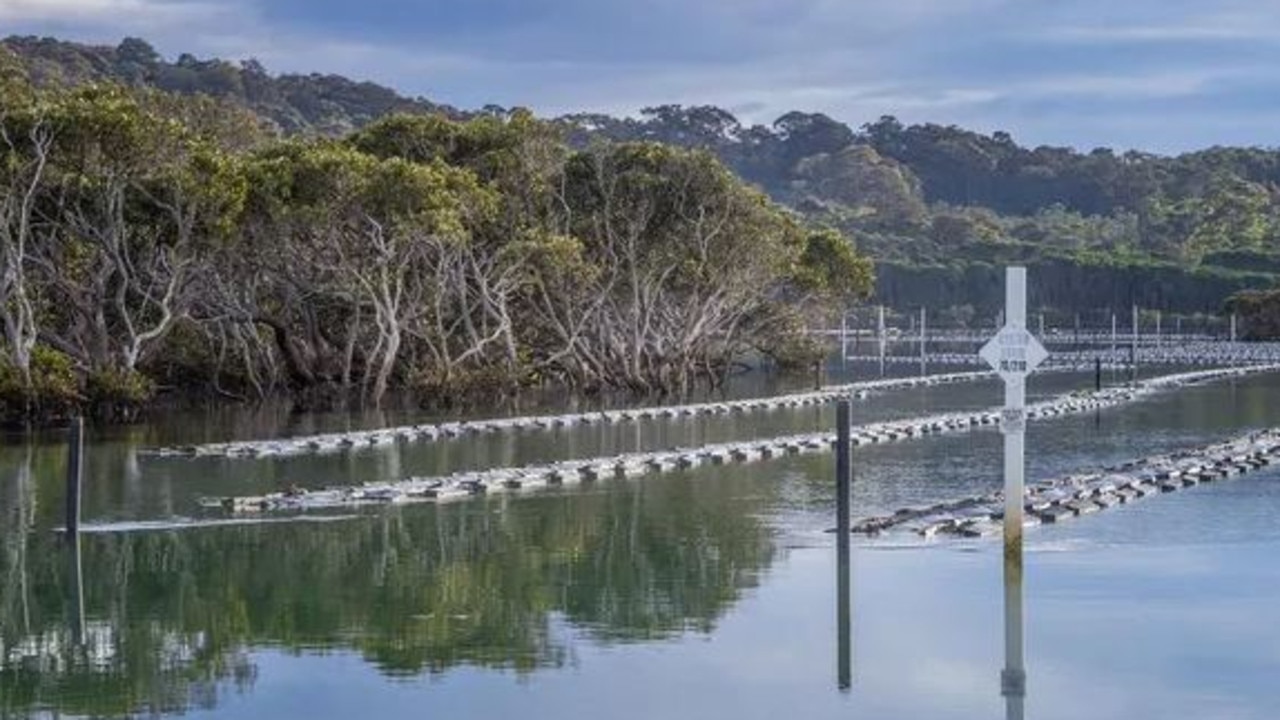 Oyster leases on the NSW south coast are also closed following heavy rainfall.