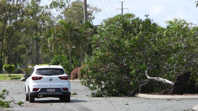 At Burleigh Waters, tree were also seen blocking roads. Picture: NCA NewsWire / Scott Powick