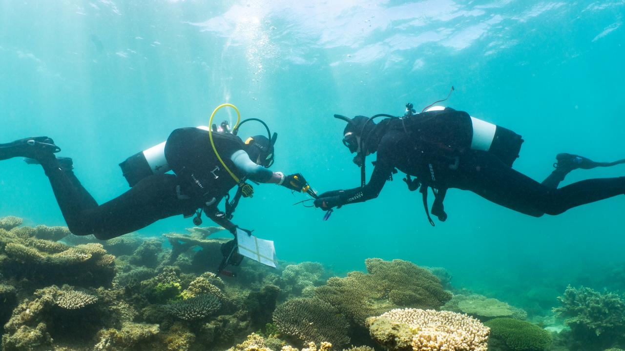 Minderoo scientists in the waters of the Ningaloo Reef, off Exmouth in Western Australia. The reef is home to 500 species of fish and 200 species of coral, and while it hasn’t suffered the same level of bleaching as the Great Barrier Reef, it remains a fragile ecosystem. Picture: Minderoo Foundation