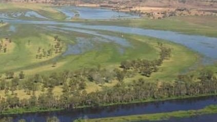 NEXT MOVE: The multi-million dollar Rookwood Weir project moved a step closer after the state government approved the Environmental Impact Assessment.