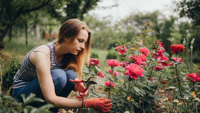 Frances Whiting explains why she loves spring.