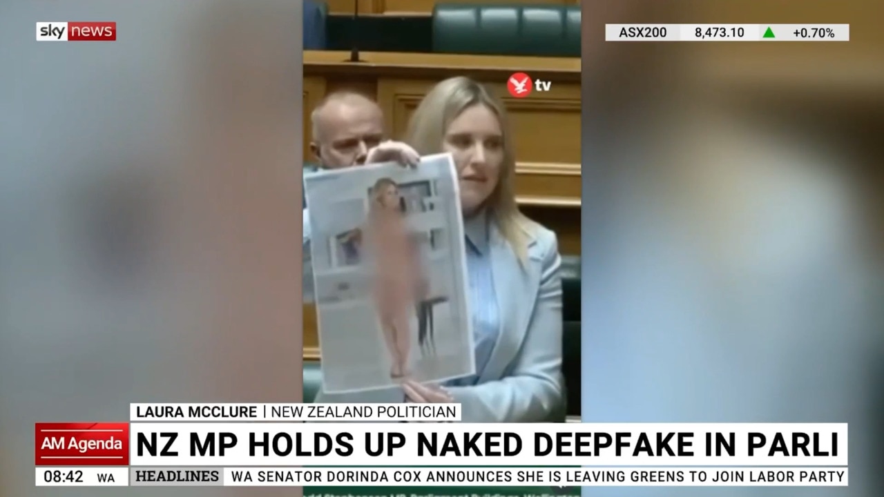 Why MP showed nude pic of herself to parliament