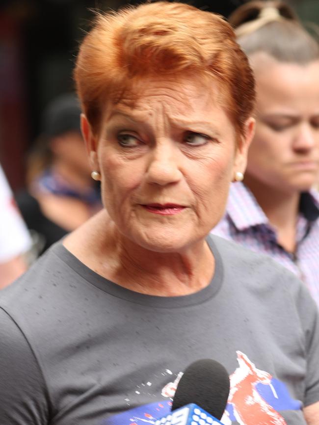 Pauline Hanson. Picture : Liam Kidston.