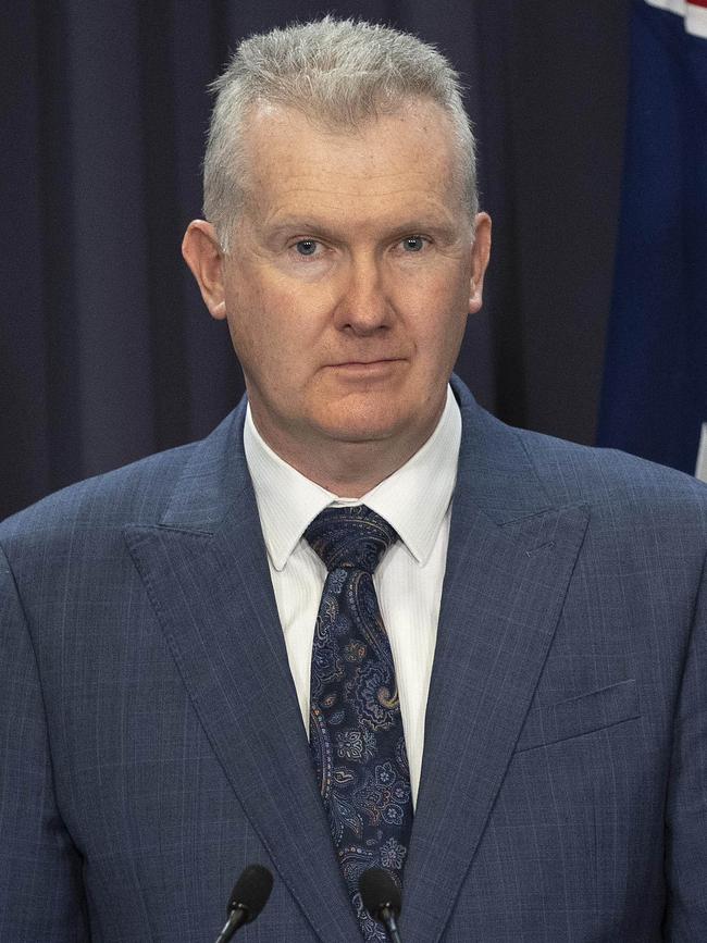 Employment and Workplace Relations Minister Tony Burke. Picture: NCA NewsWire/Gary Ramage