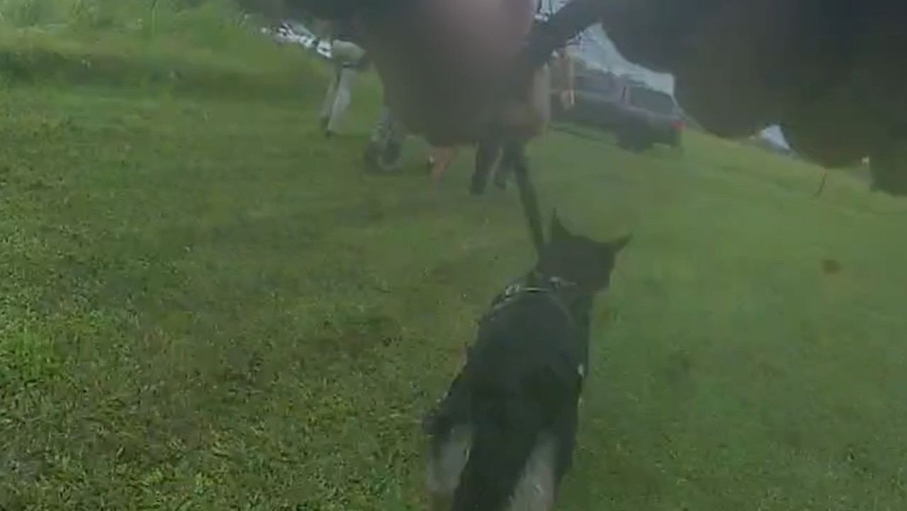 Watch: Police deploy stingers, dogs to arrest man on the run