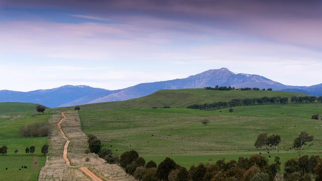 Mansfield countryside at Delatite Winery. Picture: Tourism North East