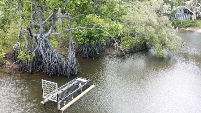 A swampy creek at Palm Cove beach, where a large crocodile attacked and ate a dog in 2020. PICTURE: BRENDAN RADKE