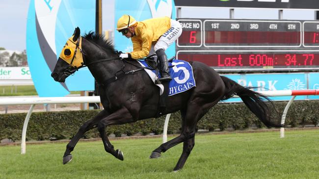 Race 6 winner Dream Master, ridden by jockey Bridget Grylls. Picture: Mike Batterham