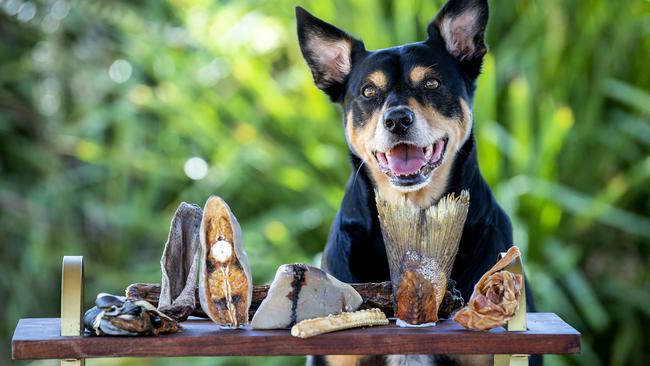 Narla with some of her owner’s dried doggie treat products. Picture: Mark Brake