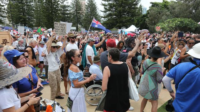 Protesters Rally at Kurrawa Park on Saturday. Picture: Mike Batterham