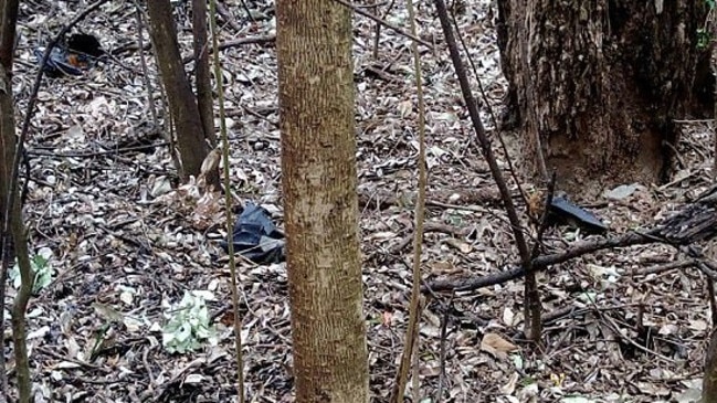 Heat-stricken: The dead animals fell from their trees. Picture: Facebook/Help Save the Wildlife and Bushlands in Campbelltown