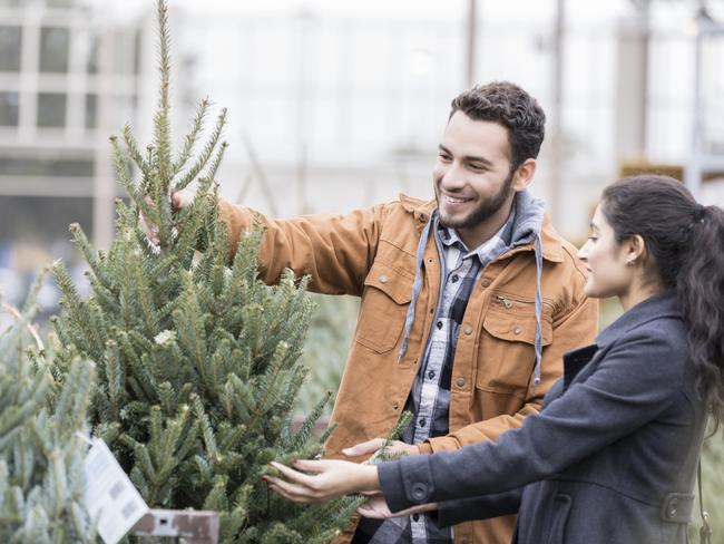 People have been warned to properly secure Christmas trees to cars.