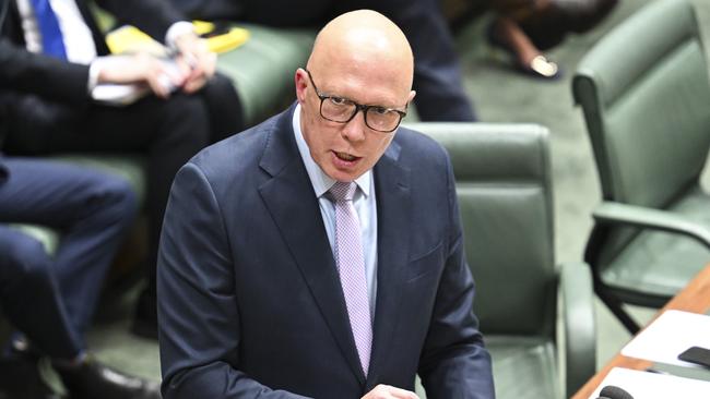 Opposition Leader Peter Dutton said Mr Albanese needed to stand up for Jewish Australians. Picture: NewsWire / Martin Ollman