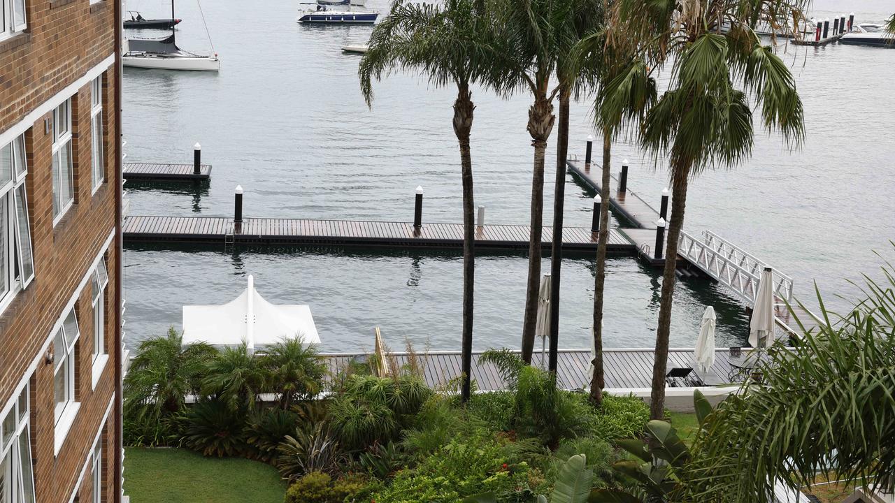 NSW govt passed the back on Sydney Harbour shark protection | Daily