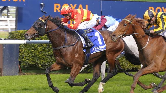 Trainer Sara Ryan has worked hard to get Matcha Latte back to the track following a tendon injury. Picture: Bradley Photos