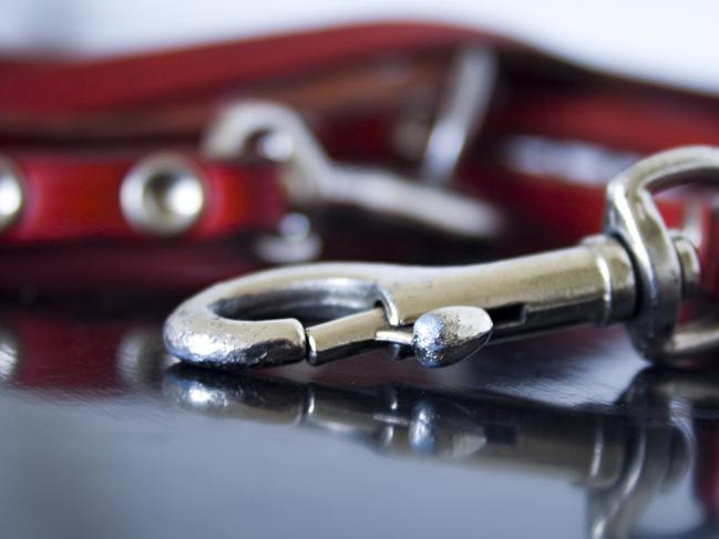 Generic photo of a dog lead.