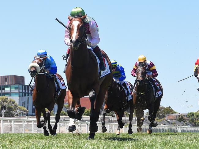 Coleman ridden by Ben Melham wins the Lamaro's Hotel Chairman's Stakes at Caulfield Racecourse on February 03, 2024 in Caulfield, Australia. (Photo by Pat Scala/Racing Photos via Getty Images)