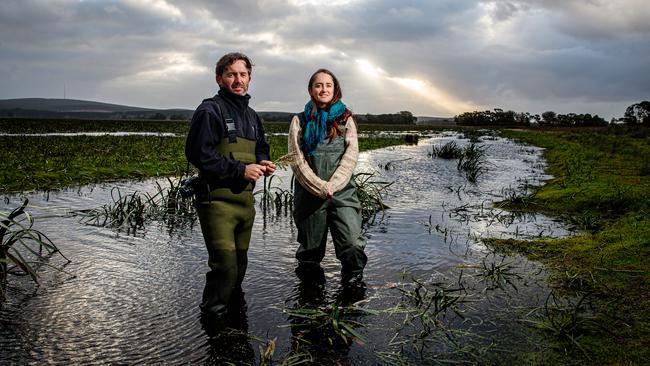 Nature Glenelg Trust’s Bryan Haywood and Rose Thompson at the Mount Burr Wetlands, near Mount Gambier. Picture: Matt Turner.