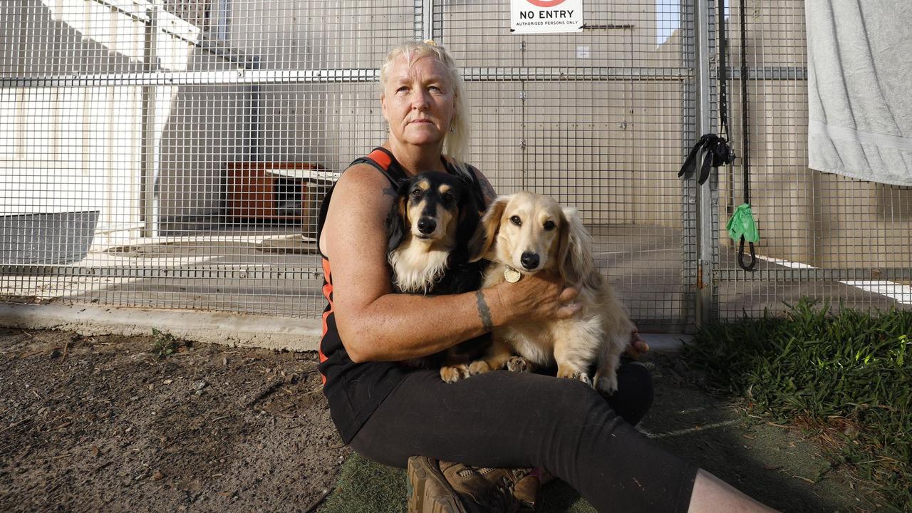 Melissa Chambers with dogs Jasper and Romeo at EP Dogz Boarding Kennels on Proper Bay Road, Port Lincoln. Picture: Robert Lang