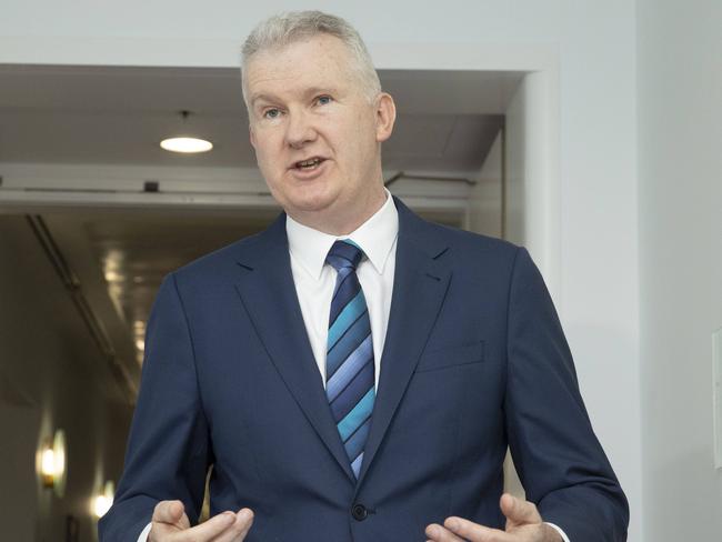 Employment Minister Tony Burke. Picture: Gary Ramage