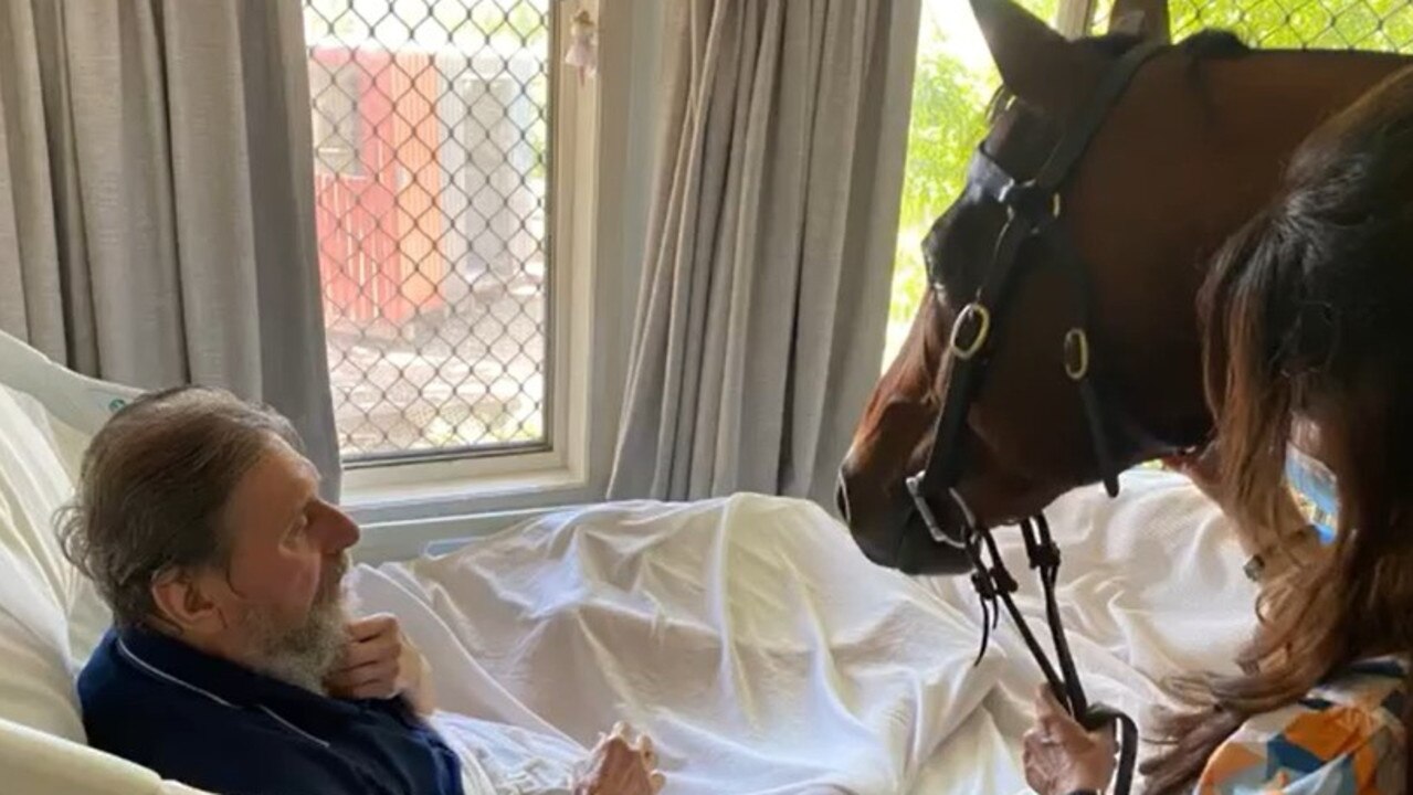 The Ahern family took the horses right up to bed bound residents to offer a hands on connection.