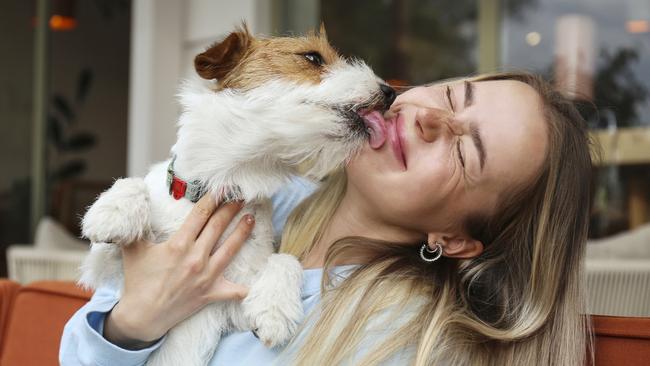 Vets are warning about the popular raw pet food movement. Picture: iStock