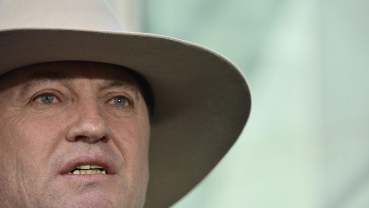 Upcoming Nationals meeting will be 'absolutely seminal': Barnaby Joyce