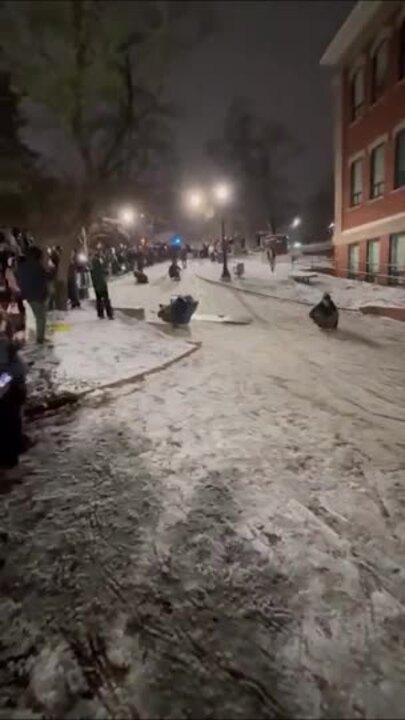 Students Snowboard, Hold Sledding Competition Amid Winter Weather