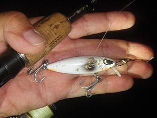  Reidy's Hellraiser lure in Karen's Pearl colour 