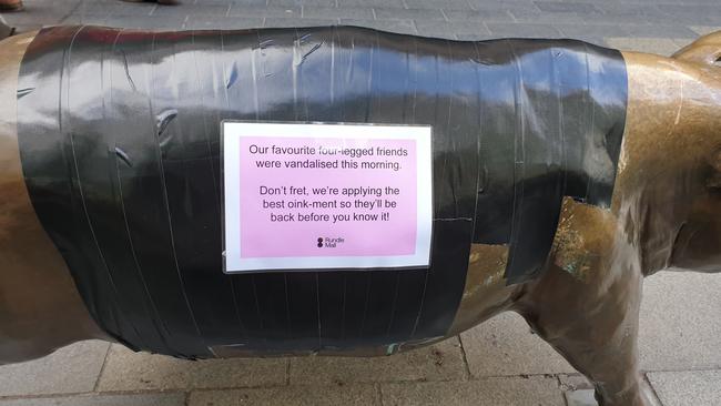 The Rundle Mall pigs have been covered since they were vandalised on Wednesday, September 23. Supplied