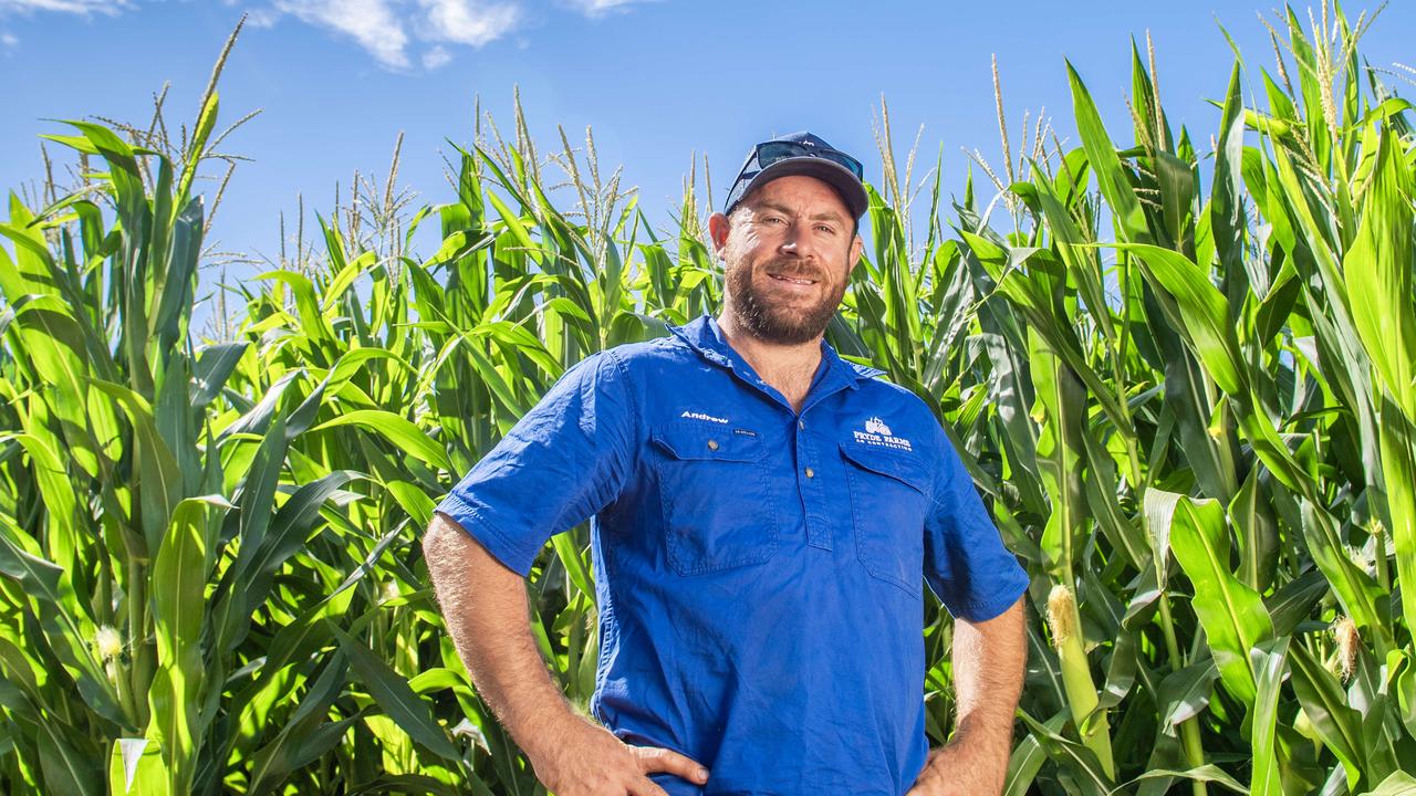 Dry weather drives feed grain prices up
