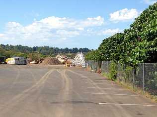 While last year's recycled bike tree is still languishing among the dumpsters at the Lismore Revolve and Recycling Centre, the makings of another tree has been spotted at the Lismore tip.