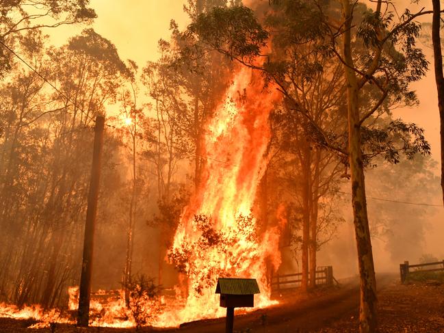 As a result of prolonged drought, bushfires are starting and spreading easily and burning more intensely. Picture: AAP