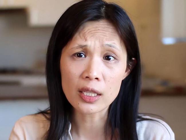 Pansy Lai appears in an ad expressing concerns about legalising same-sex marriage.