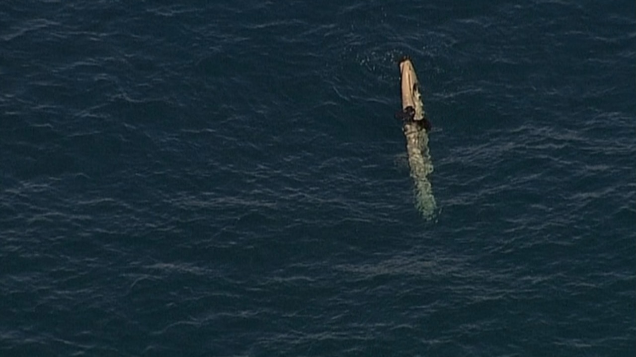 Shark knocks Qld kayaker from boat