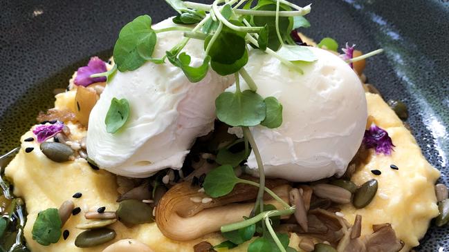 The mushroom dish featuring Tweed Valley mushrooms at Mudjira Village Eatery.