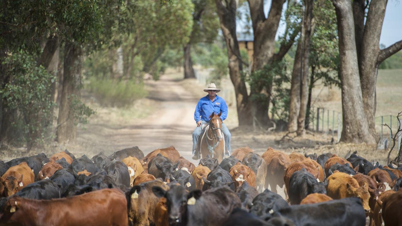 NT Cattlemen’s Association sees challenges and opportunity ahead | NT News