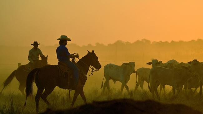 “Cattle culture” in Australia and the US has hurt the fake meat industry, according to Mr Cowin. Picture: Carl de Souza/AFP