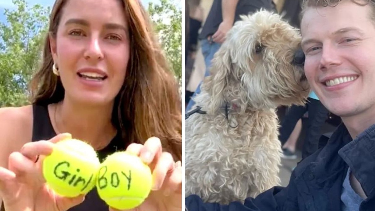 The couple went viral after letting their dog decide their baby's gender.