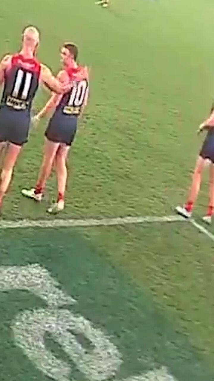 New angle shows second Max Gawn confrontation