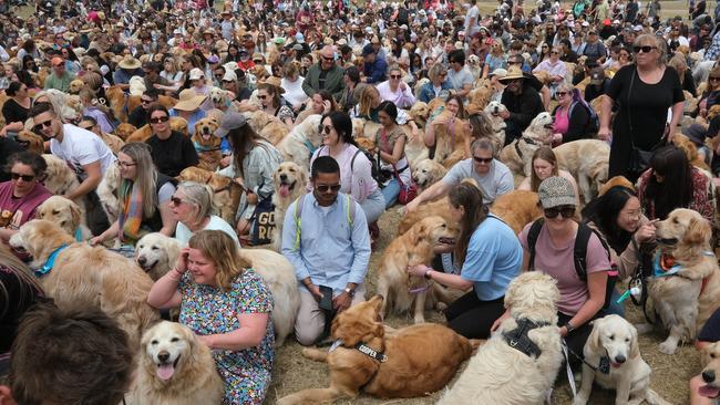 Goldrush world record attempt. Picture: Mark Wilson