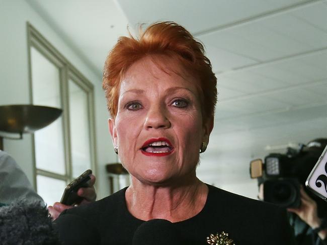 Senator Pauline Hanson at Parliament House in Canberra. Picture Kym Smith