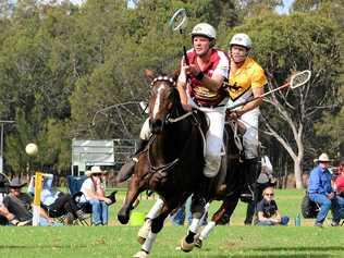 FULL PELT: Australian polocrosse assistant coach Cameron Shepherd in action on Favourite, a horse he is putting in a pool of 150 horses, for the April 22-28 World Cup. Picture: Contributed