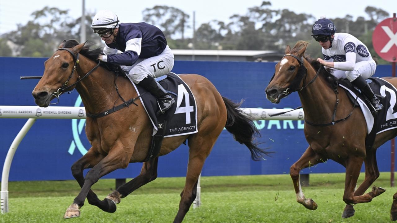 Warwick Farm tips: Import to go back-to-back