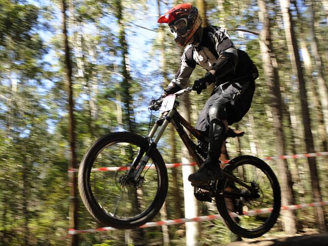 The formal mountain bike plan is expected to take 18 months and cost $310,000.