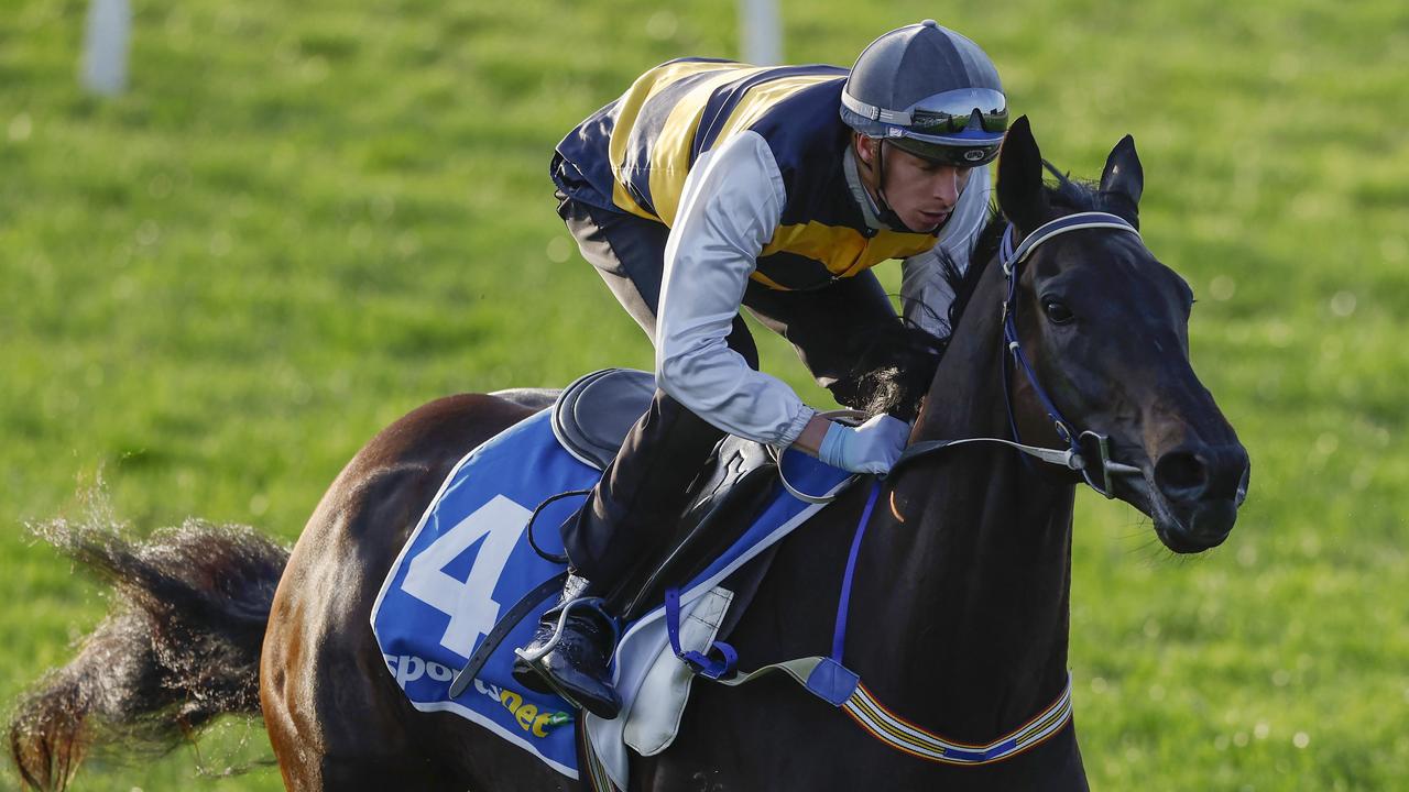 Caulfield Cup form guide: The case for and against every horse… and the  threat you can’t ignore