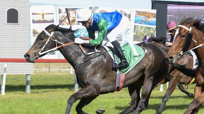 A drop in grade can see Pretty Eyed get back to winning form at the Sapphire Coast. Picture: Bradley Photos