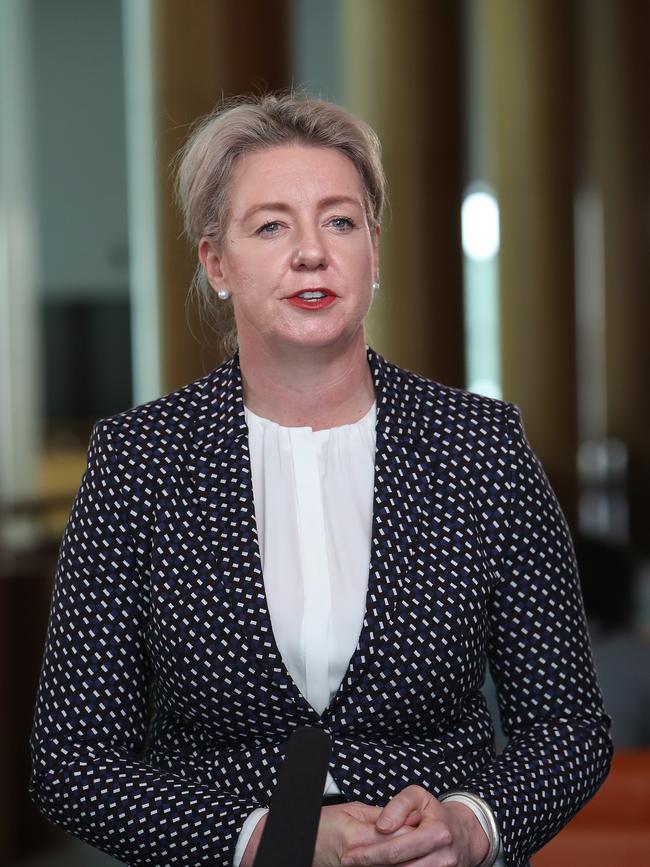 Former Minister for Agriculture Senator Bridget McKenzie.