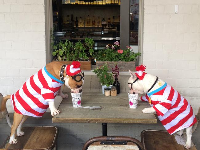 Cuckoo Callay in Newtown is a popular pooch haunt.