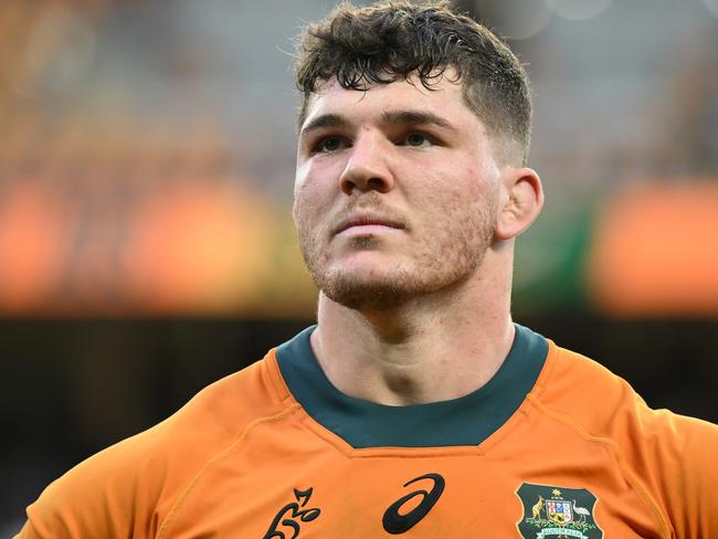 BRISBANE, AUSTRALIA - AUGUST 10: Carlo Tizzano of the Wallabies looks dejected after during The Rugby Championship match between Australia Wallabies and South Africa Springboks at Suncorp Stadium on August 10, 2024 in Brisbane, Australia. (Photo by Matt Roberts/Getty Images)